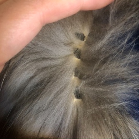 Finnish Raccoon Vest - Picture 7 of 8